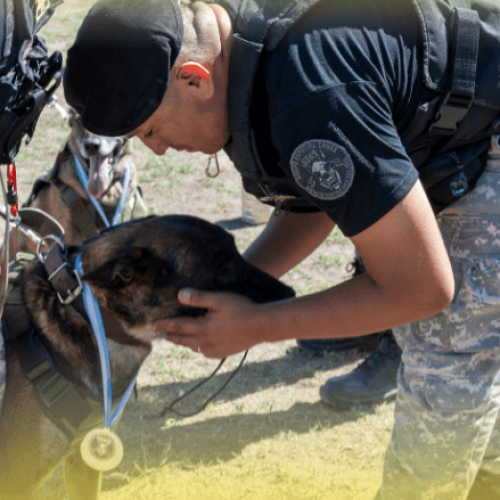 Homenaje y Retiro de los Canes K9 Ankara y Atlas