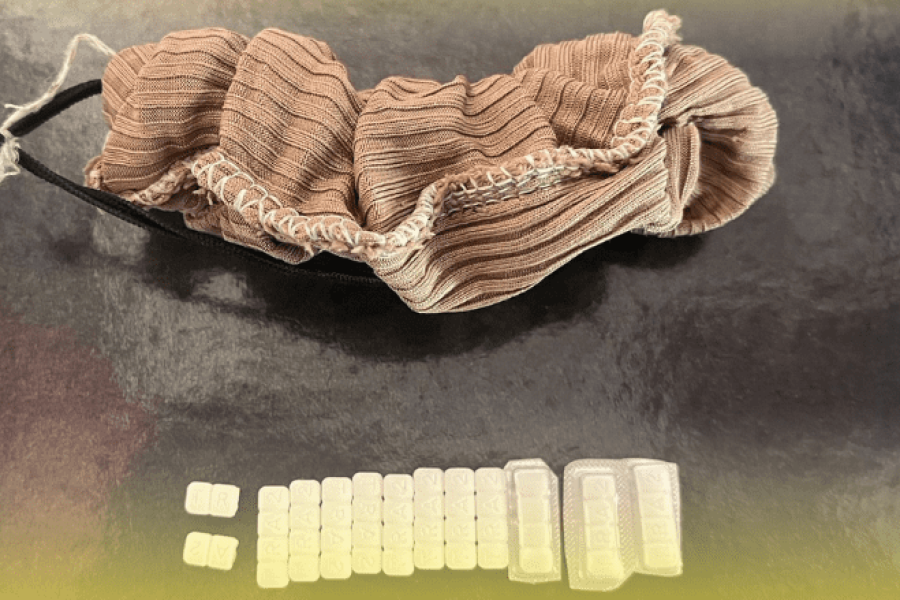 Requisa del SPP impidió el ingreso de elementos en un control de visita