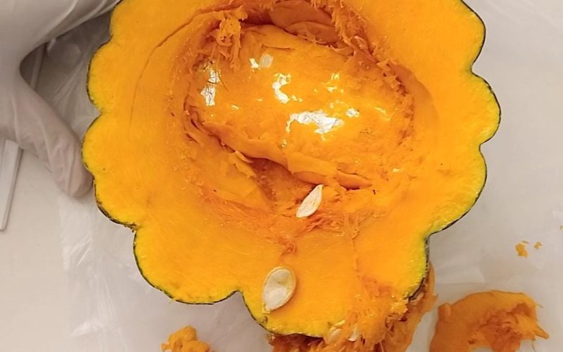 Importante accionar de Requisa del SPP evitó el ingreso de un elemento prohibido