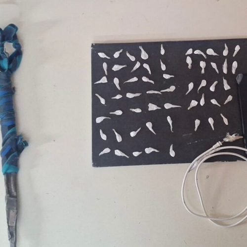 Requisa estratégica: resultados concretos que refuerzan la seguridad del SPP.