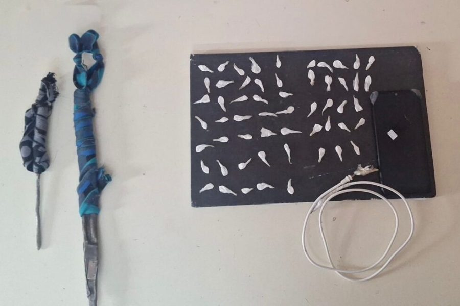 Requisa estratégica: resultados concretos que refuerzan la seguridad del SPP.